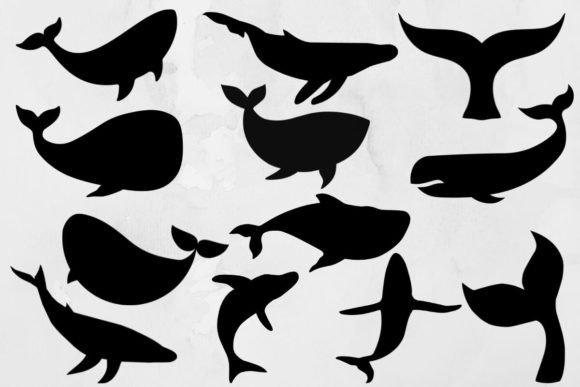 Download Whale Svg Bundle - Whale svg Collection